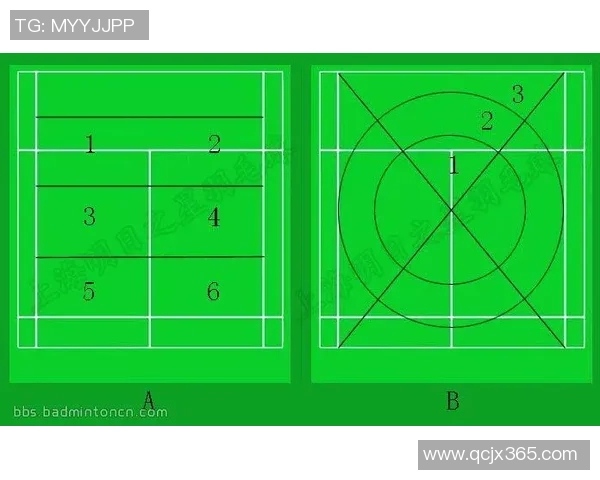 南京羽毛球队战术解析与对比研究揭示胜负关键因素