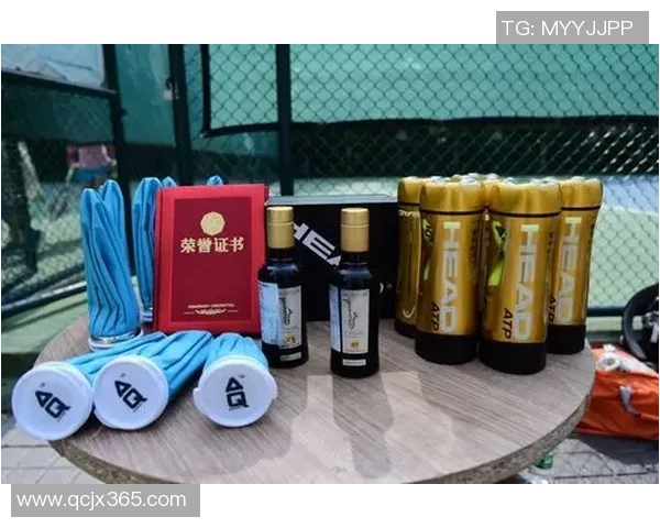 深圳网球队整体压制现象分析及其对网球发展的影响探讨