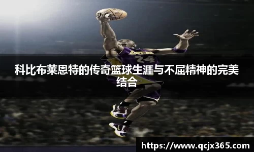 wm365完美体育