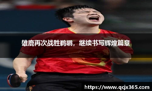 雄鹿再次战胜鹈鹕，继续书写辉煌篇章