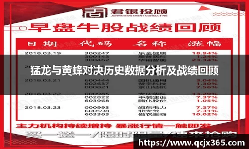 猛龙与黄蜂对决历史数据分析及战绩回顾