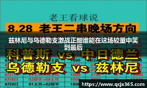 完美体育·WM